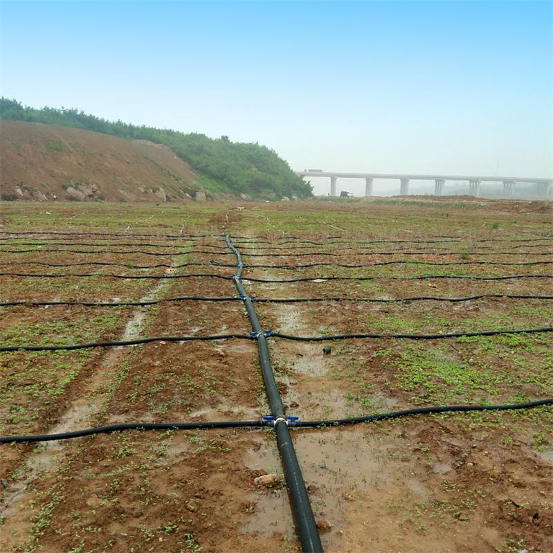 Micro-sprinkler for Field Irrigation