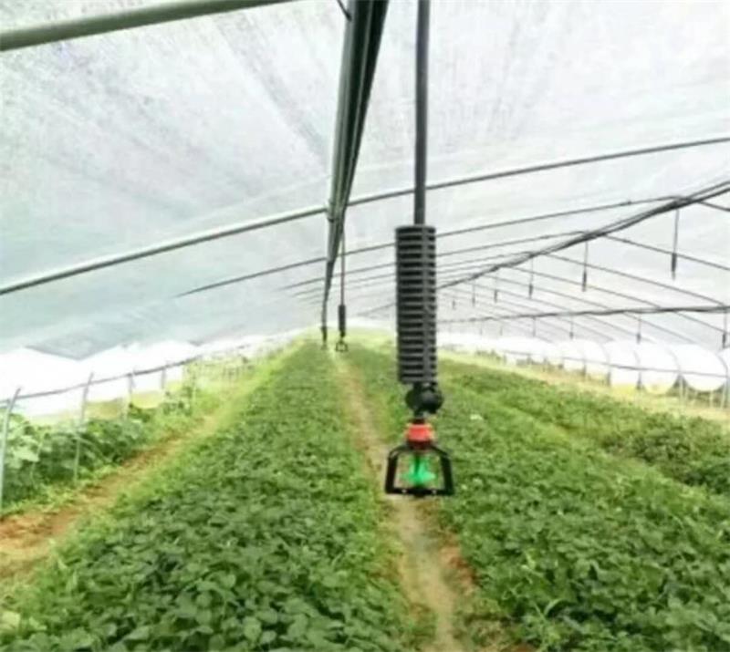 Micro-Sprinkler Irrigation for Flowers