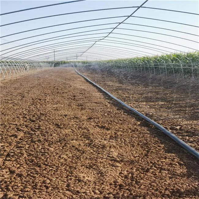 Porous Micro-Spray Tape Field Irrigation Technology post thumbnail image